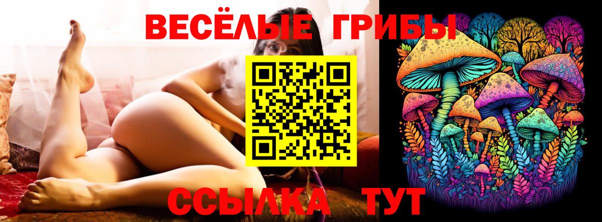Галлюциногенные грибы прущие грибы Саранск